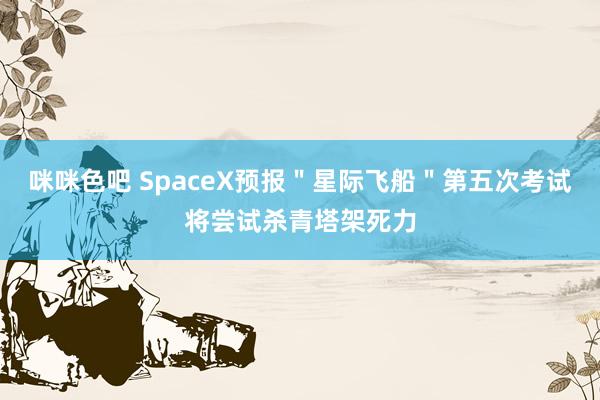 咪咪色吧 SpaceX预报＂星际飞船＂第五次考试将尝试杀青塔架死力