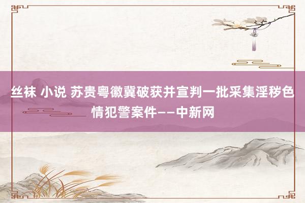 丝袜 小说 苏贵粤徽冀破获并宣判一批采集淫秽色情犯警案件——中新网