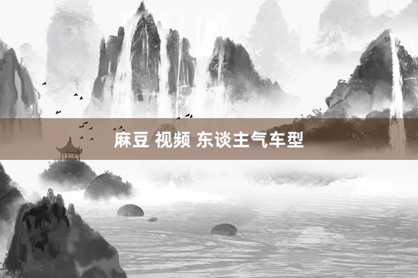 麻豆 视频 东谈主气车型