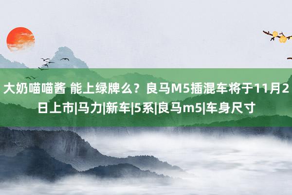 大奶喵喵酱 能上绿牌么？良马M5插混车将于11月2日上市|马力|新车|5系|良马m5|车身尺寸