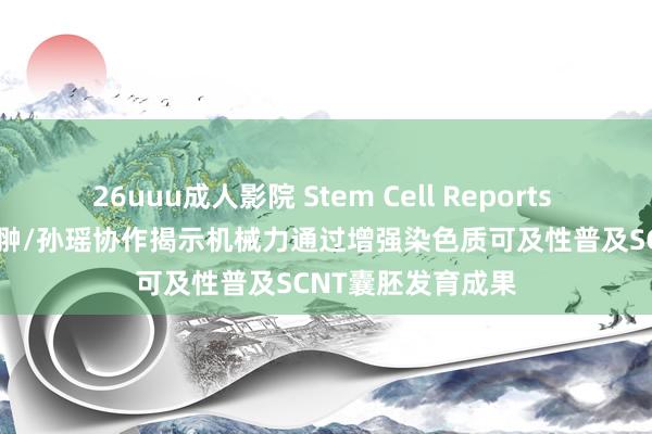 26uuu成人影院 Stem Cell Reports | 张勇/高绍荣/李翀/孙瑶协作揭示机械力通过增强染色质可及性普及SCNT囊胚发育成果