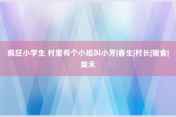 疯狂小学生 村里有个小姐叫小芳|春生|村长|猪食|柴禾