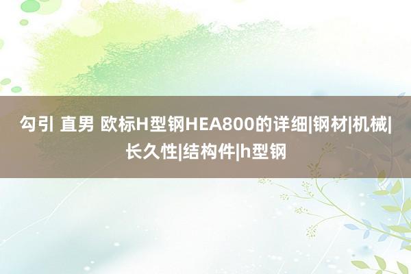 勾引 直男 欧标H型钢HEA800的详细|钢材|机械|长久性|结构件|h型钢