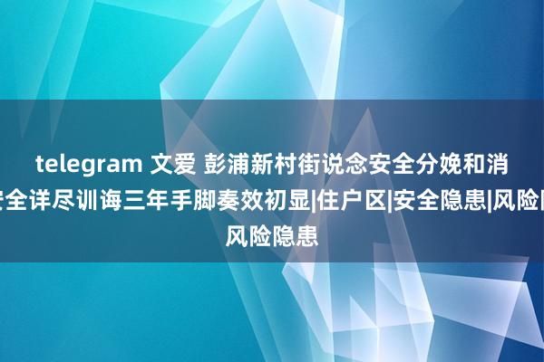 telegram 文爱 彭浦新村街说念安全分娩和消防安全详尽训诲三年手脚奏效初显|住户区|安全隐患|风险隐患