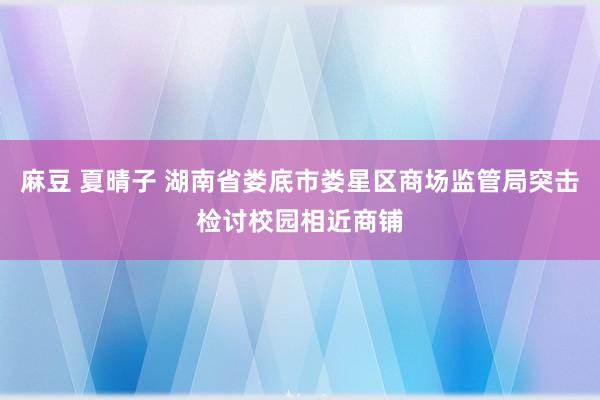 麻豆 夏晴子 湖南省娄底市娄星区商场监管局突击检讨校园相近商铺