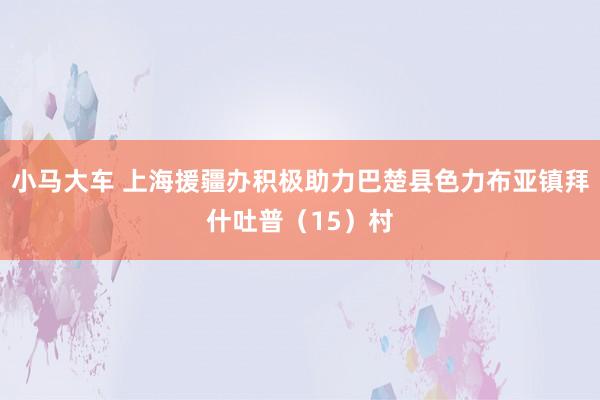 小马大车 上海援疆办积极助力巴楚县色力布亚镇拜什吐普（15）村