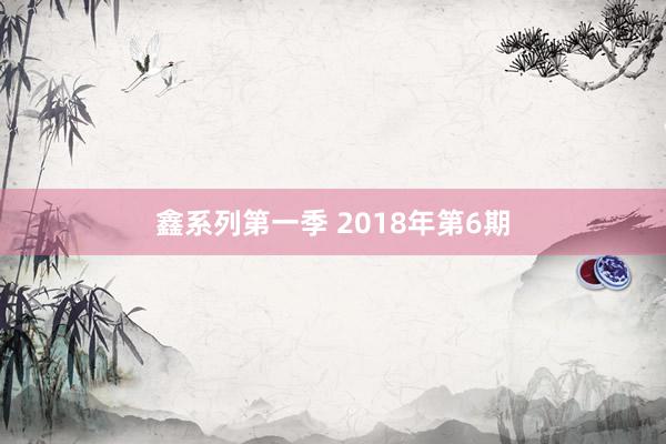 鑫系列第一季 2018年第6期